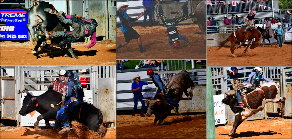 COLLAGE RODEO by mirroroflife