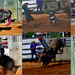 COLLAGE RODEO by mirroroflife