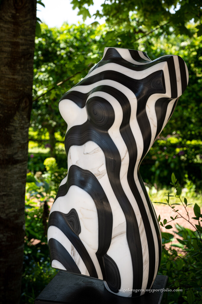 Black and white in the sculpture park by nigelrogers