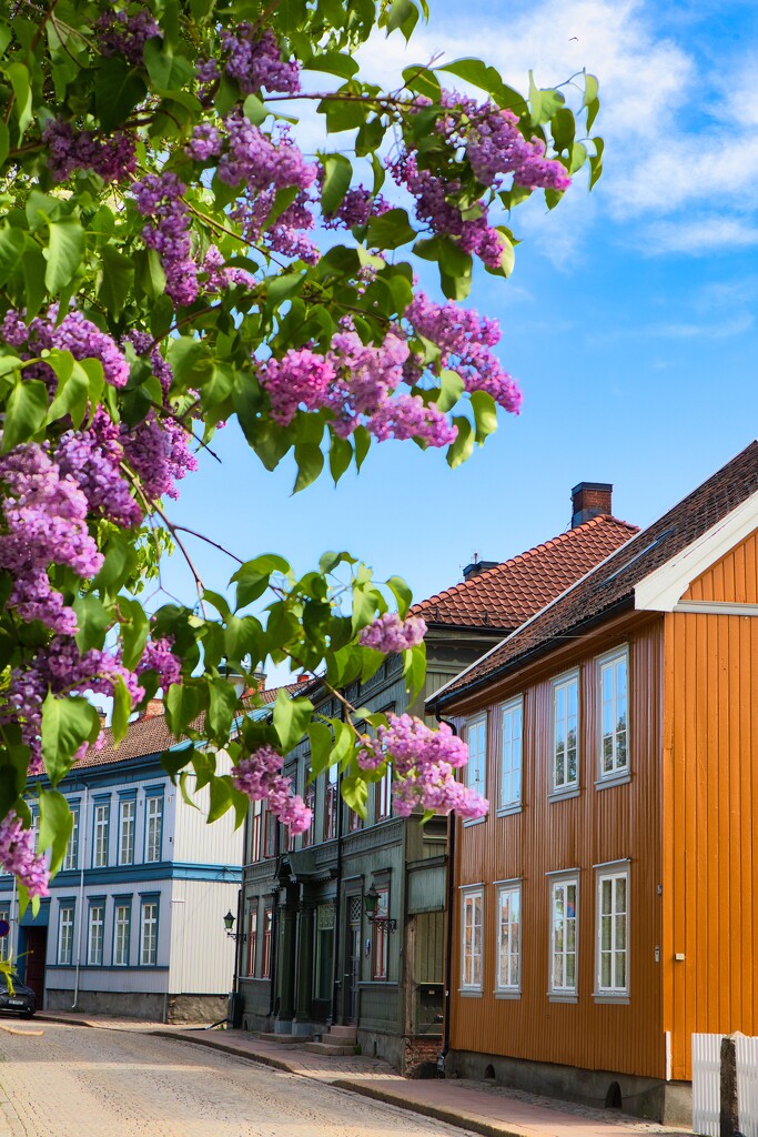 Street scene in Drammen by okvalle
