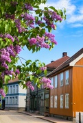 28th May 2023 - Street scene in Drammen