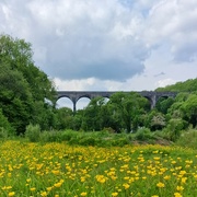 28th May 2023 - Porthkerry Viaduct, Wales