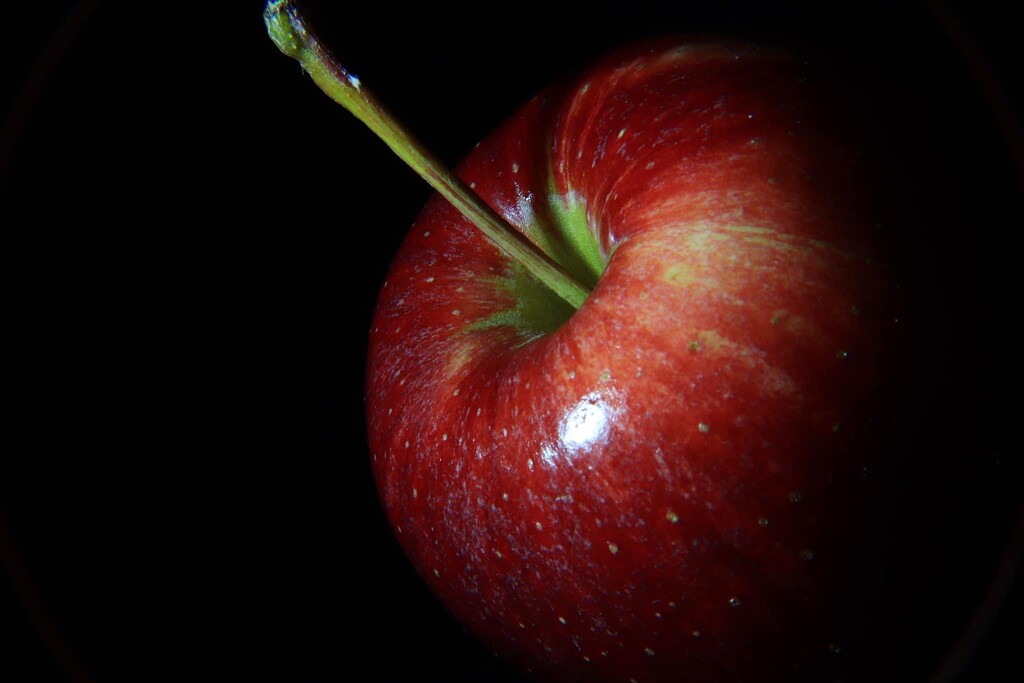 Day 143: Portrait Of An Apple  by sheilalorson