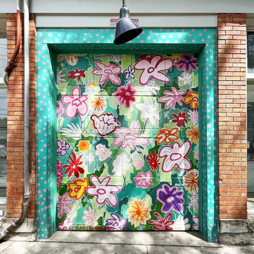 The Flower Door  by yogiw