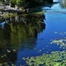 Early Morning Reflections ~ 