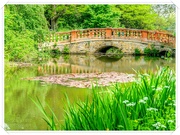 29th May 2023 - The Old Bridge,Castle Ashby