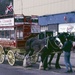 Horse Bus