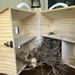 Dollhouse Turned Birdhouse  by gratitudeyear