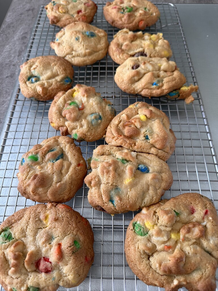Extras - Birthday cookies by pamknowler