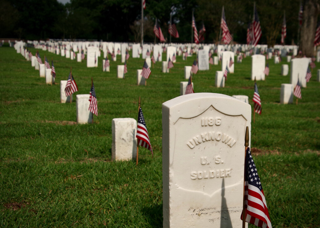 Unknowns, Memorial Day 2023 by eudora