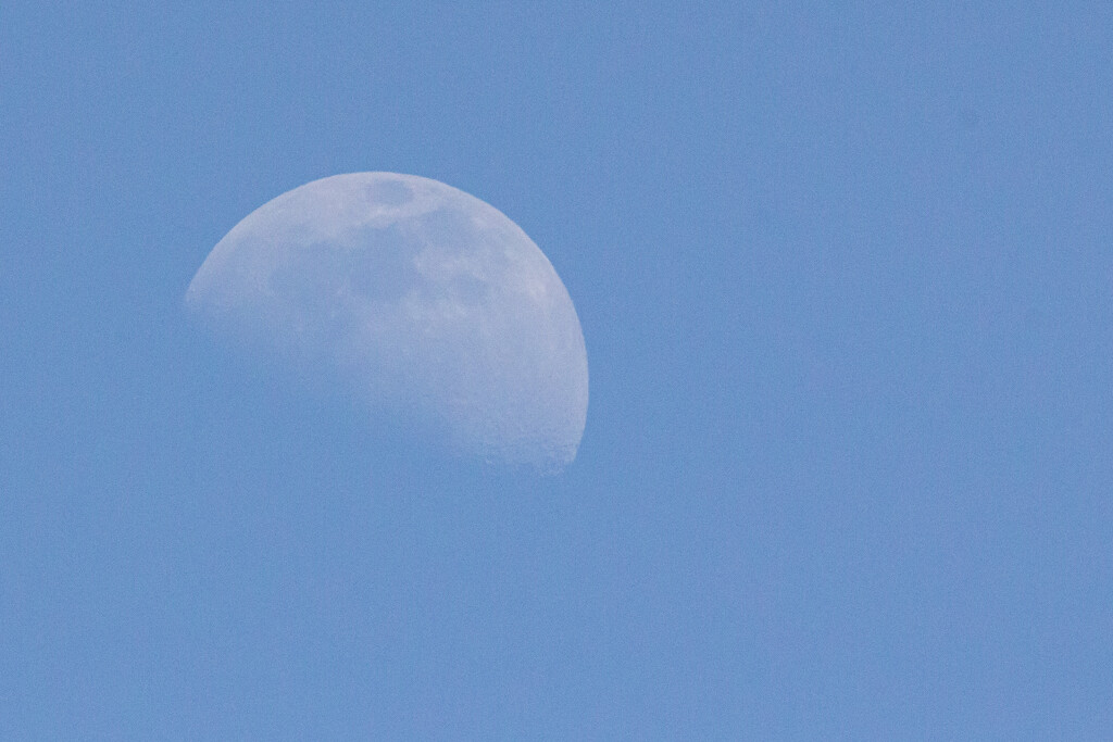 Daytime Moon by slang
