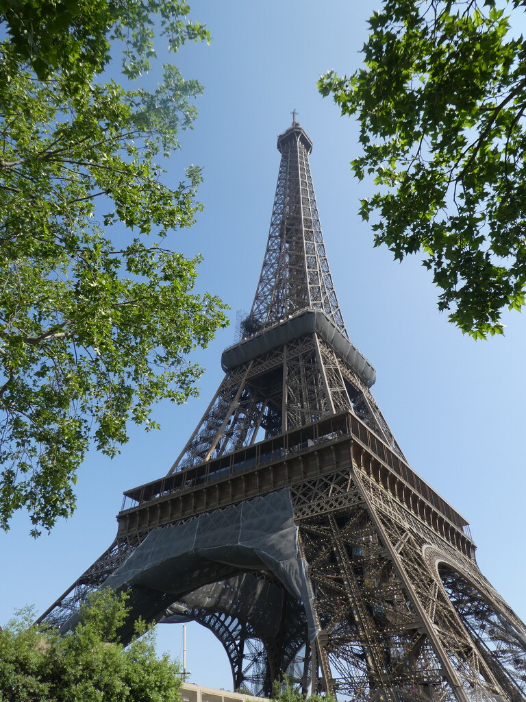 Eiffel Tower by cmp
