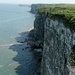 bempton cliffs by justdots