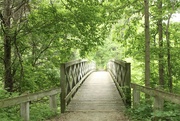 30th May 2023 - Beautiful walking bridge 