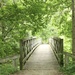 Beautiful walking bridge  by mltrotter