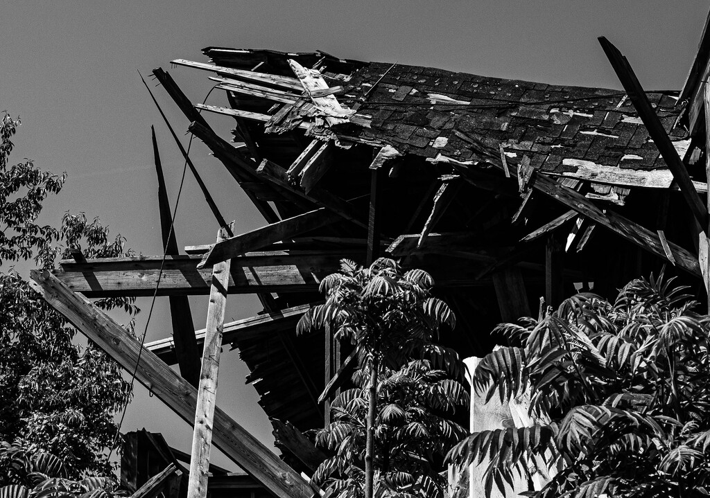 collapsed_1 by darchibald