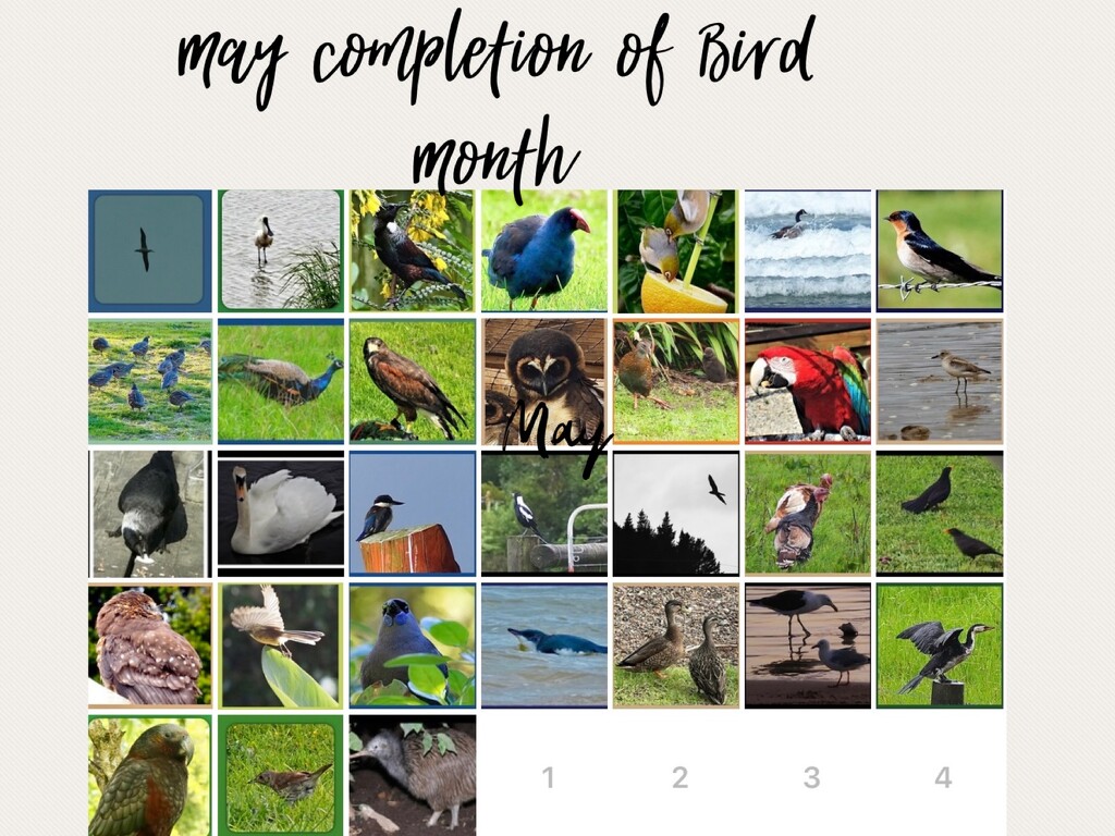 My Bird Month  by Dawn