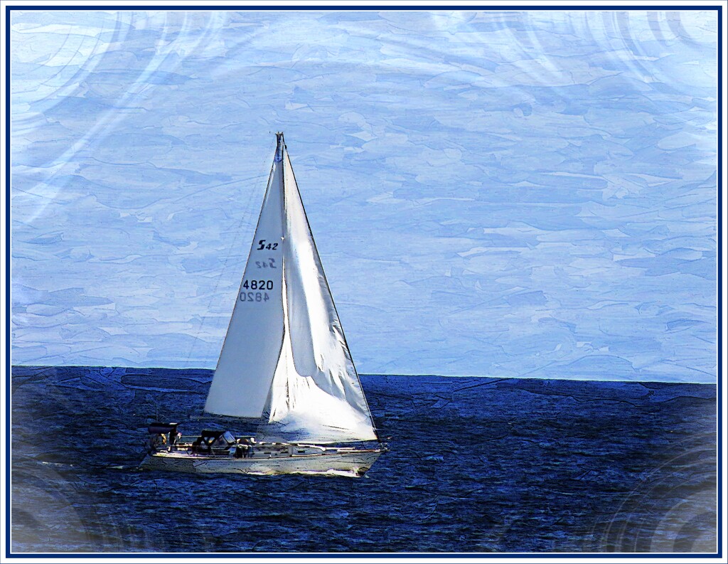 Sailing off the Coast of Maine by olivetreeann