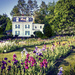 Presby House Flowers