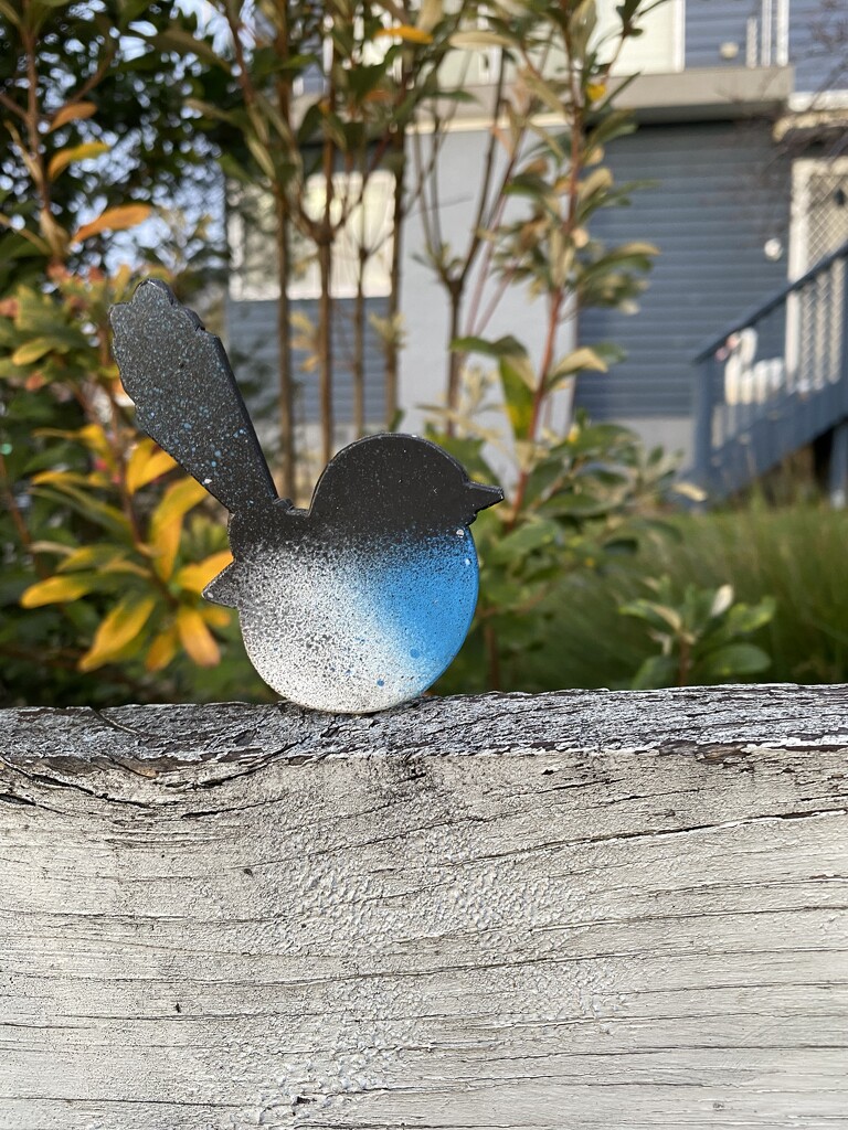 Tin Blue Wren. by antlamb