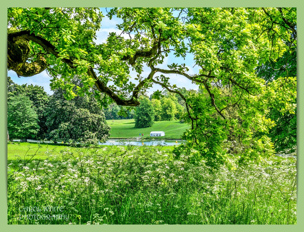 View Towards The Lake,Castle Ashby Gardens by carolmw