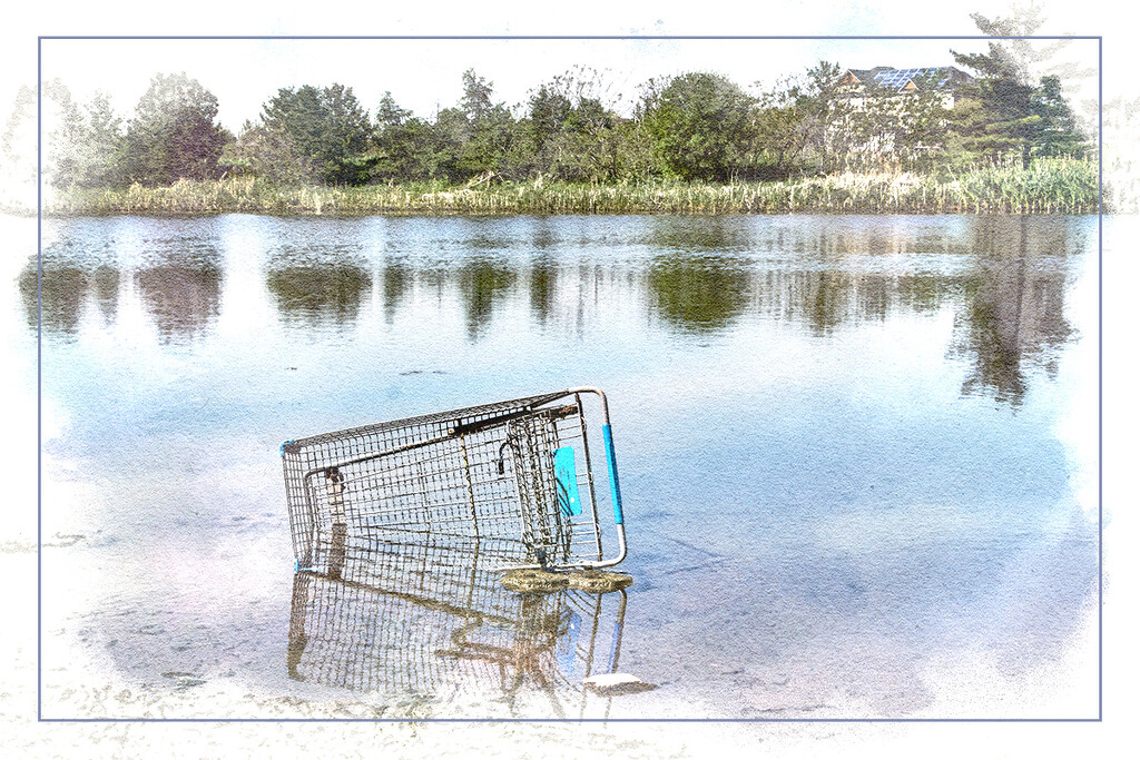 Another Abandoned Cart by gardencat