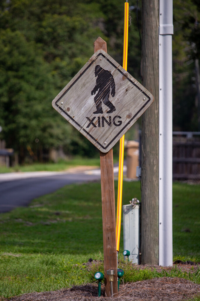 Sasquatch Crossing by frodob