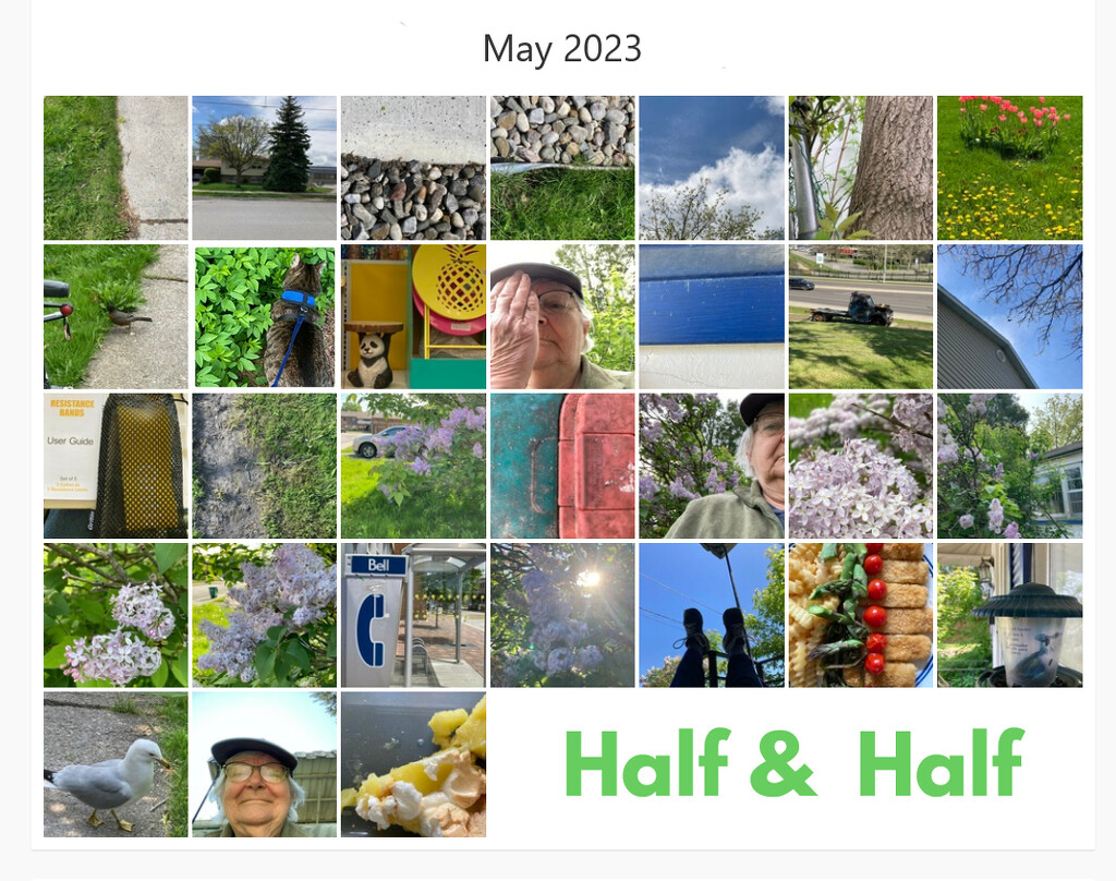 May Half 2023 by spanishliz