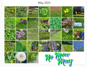 30th May 2023 - No Mow May