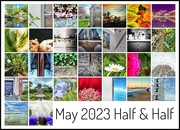 31st May 2023 - May Half & Half