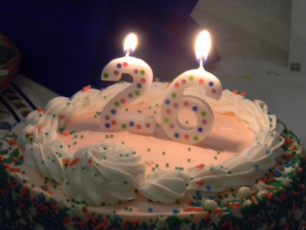 Shayna's Birthday Cake with Candles Lit by sfeldphotos