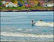 25th May 2023 - Surfin' USA