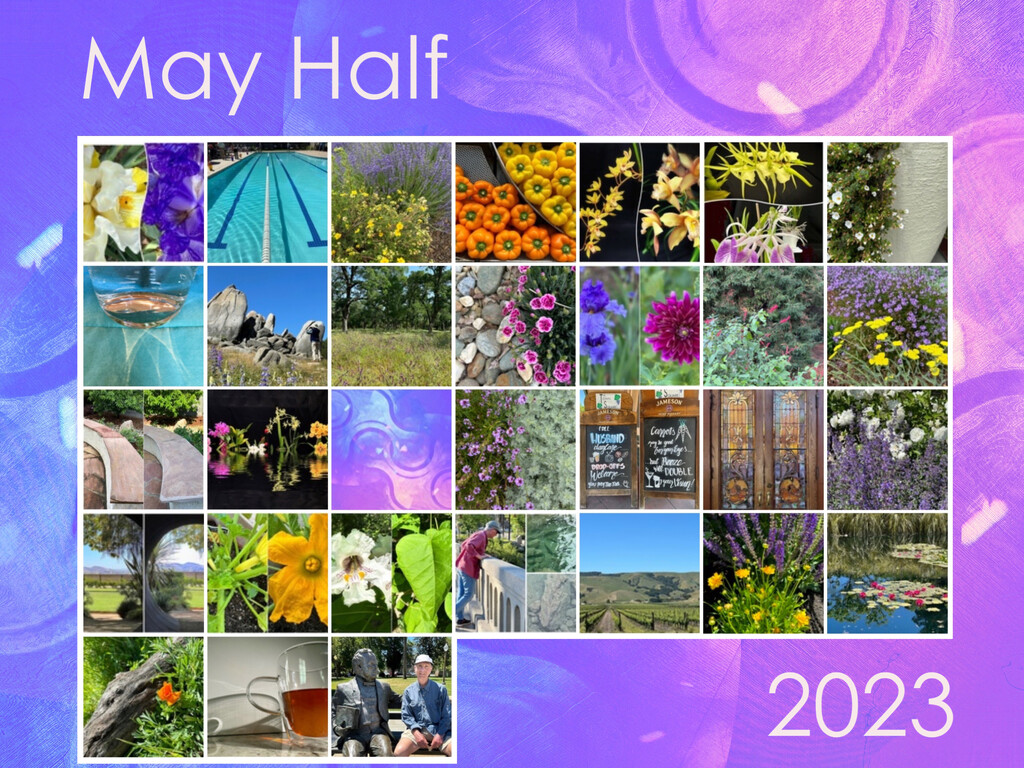 May Half 2023 Calendar by shutterbug49