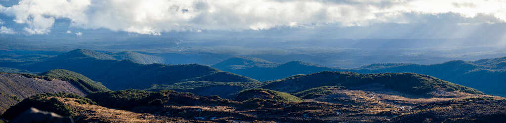 Rolling hills by christinav