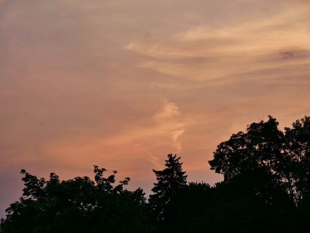 Swirly sunset by ljmanning