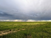 1st Jun 2023 - Something about rains and plains...