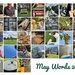May Words 2023