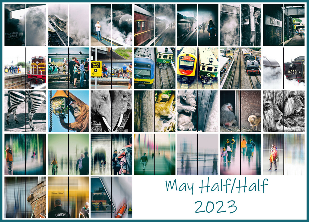 Half-Half 2023 by annied