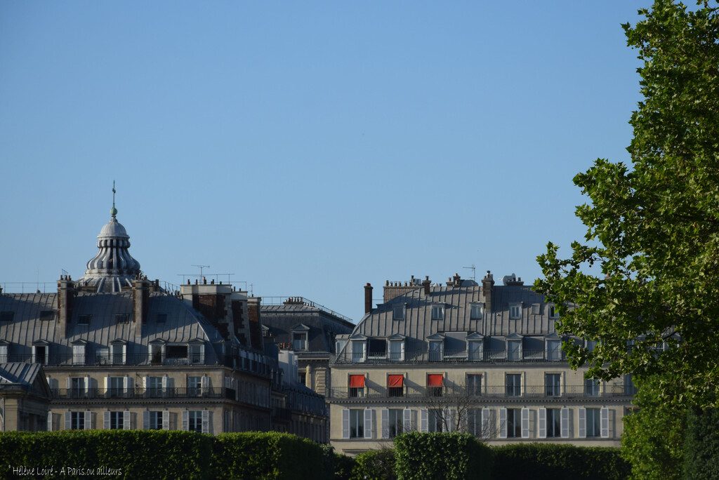 View from the Tuileries by parisouailleurs