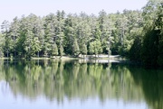 2nd Jun 2023 - Beaver Pond ... Again