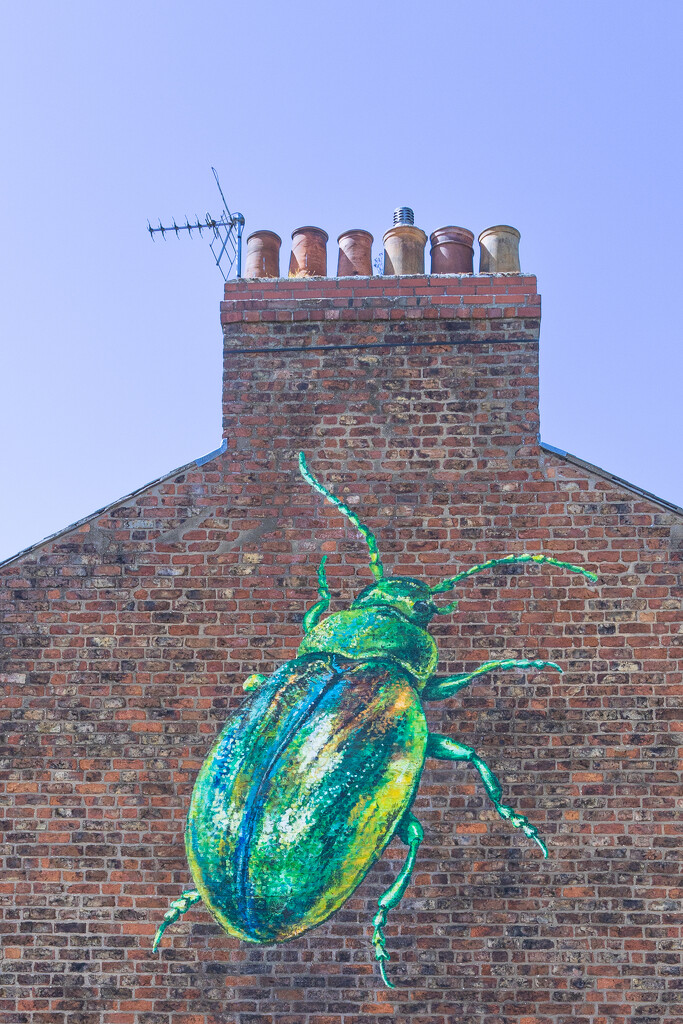The Tansey Beetle – the Jewel of York by lumpiniman