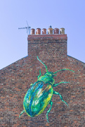 2nd Jun 2023 - The Tansey Beetle – the Jewel of York