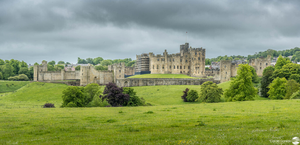 Another View of Alnwick Castle landscape-58 by yorkshirekiwi
