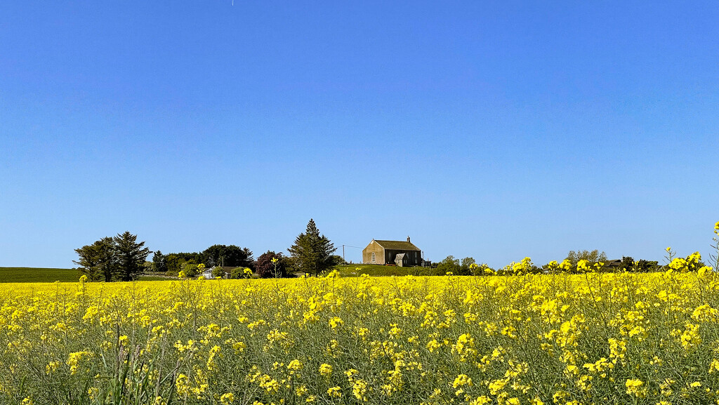 Portlethen Parish Church by lifeat60degrees