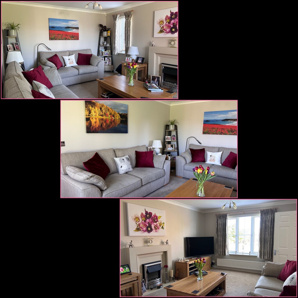 Completed Lounge by carole_sandford