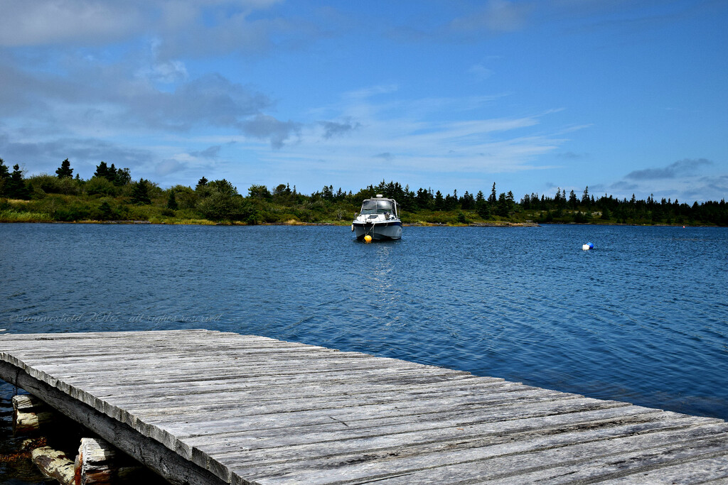 jetty by summerfield