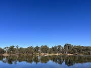 3rd Jun 2023 - Murray River at Curlwaa