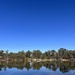 Murray River at Curlwaa