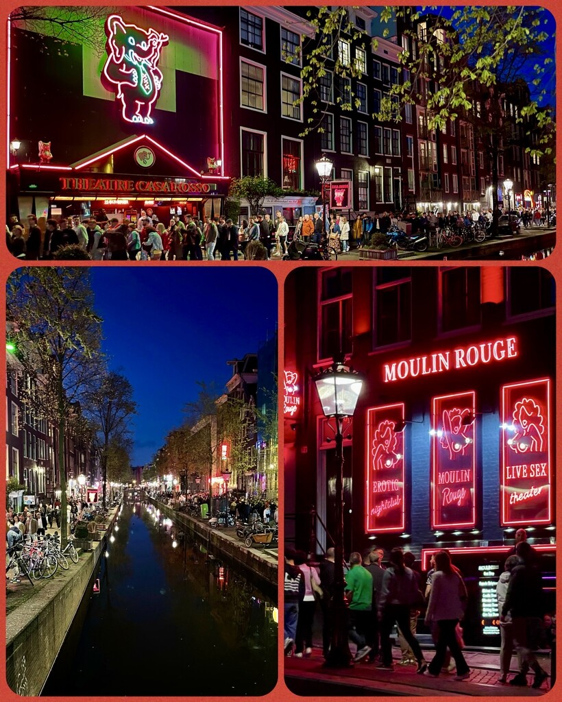 Will Wander Into the Red-Light District by gardenfolk
