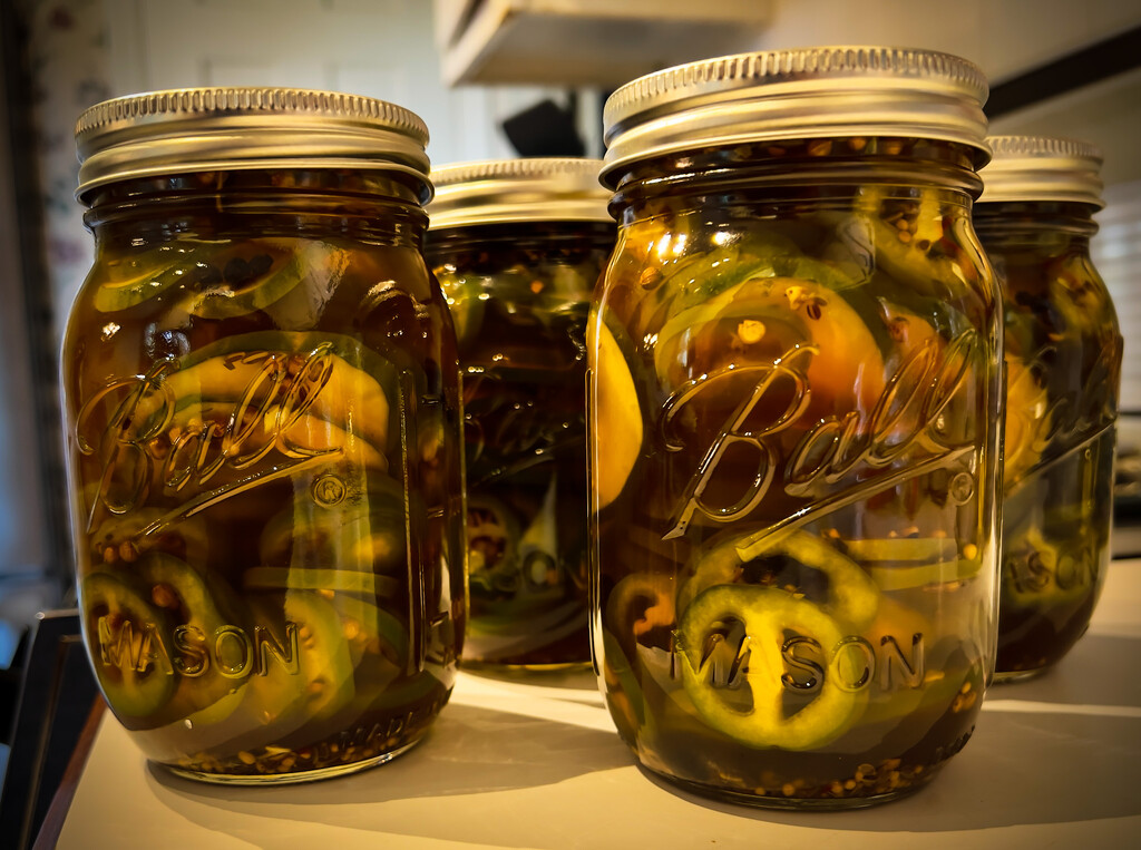 IPA pickled jalapeños and cucumbers by sburton